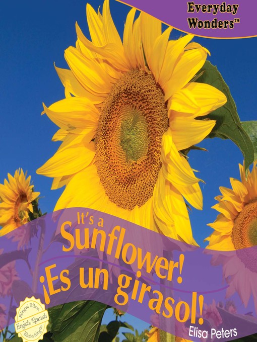 Title details for It's a Sunflower! / ¡Es un girasol! by Elisa Peters - Available